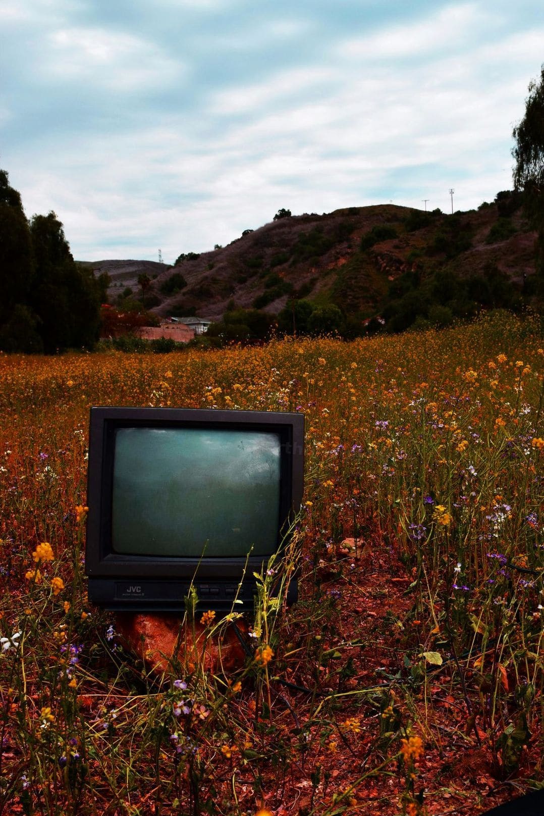 Northbridge TV